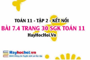 Bài 7.4 trang 30 Toán 11 tập 2 Kết nối tri thức